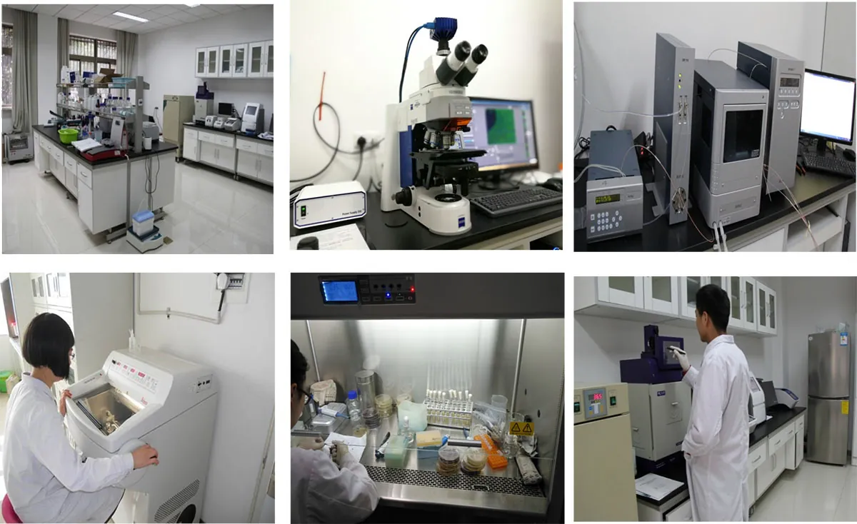 Research laboratory at Shaanxi Normal University